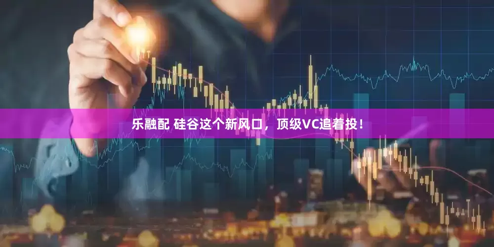 乐融配 硅谷这个新风口，顶级VC追着投！
